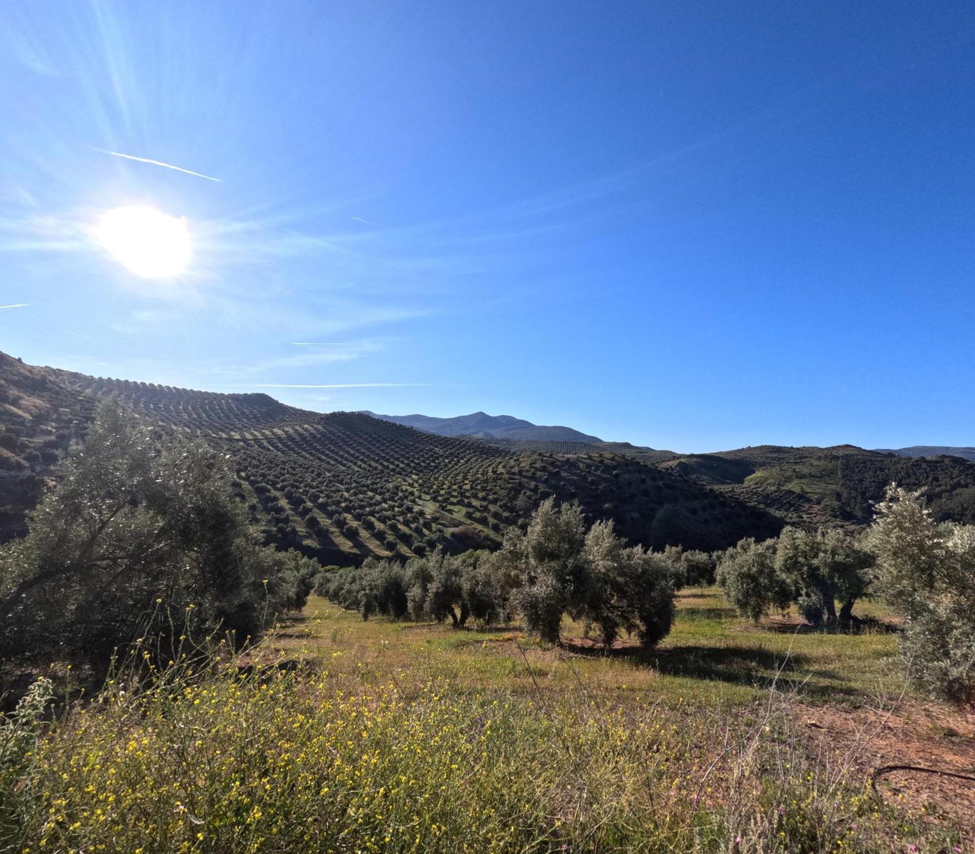 Turistico Loma Alta Holiday home Cambil